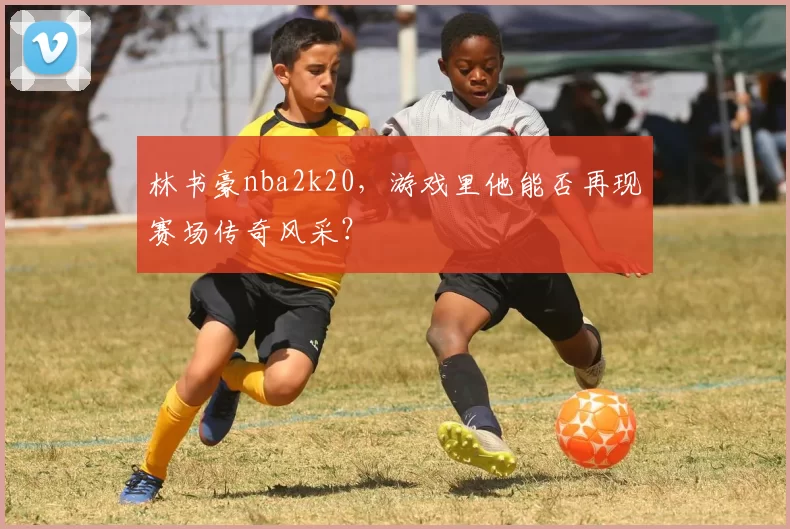林书豪nba2k20，游戏里他能否再现赛场传奇风采？